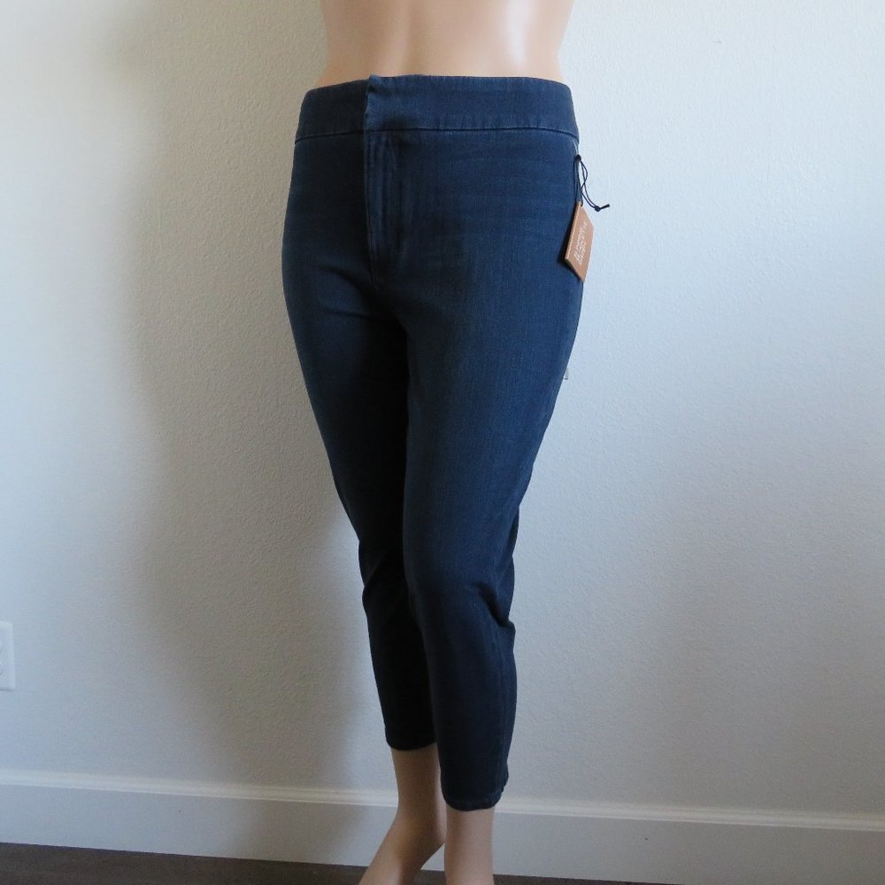 MELISSA McCARTHY Seven7 Jeans Pencil Ankle Blue Denim Jeans Plus Size 16 NWT - Picture 3 of 3